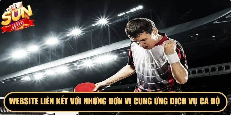 Website liên kết với những đơn vị cung ứng dịch vụ cá độ hàng đầu